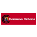 International Common Criteria EAL 3+ Certification
